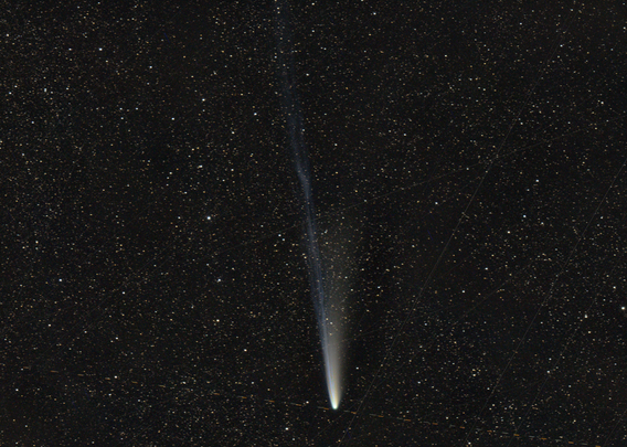 The comet's dust tail is not very long, broad, white, and featureless. The ion tail is long, blue, not very bright, and full of knots and other details.
