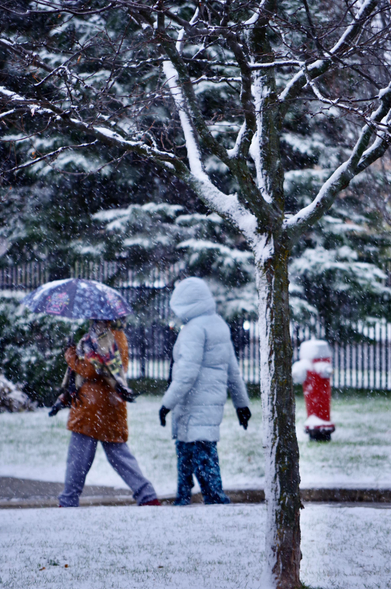Two neighbours, one under an umbrella, walking in a light snowfall through their residential street.