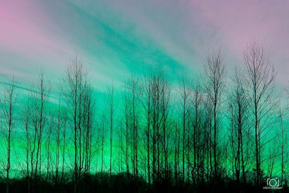 A tranquil landscape featuring a line of bare trees silhouetted against a colorful sky with Northern sky-light. The sky transitions from a pinkish hue at the top to a vibrant teal and green towards the horizon. The leafless trees stand in stark contrast against this bright backdrop, creating a serene and almost otherworldly scene. Bottom right is a white textual logo with an icon on top. This image was taken by Drenthograaf.