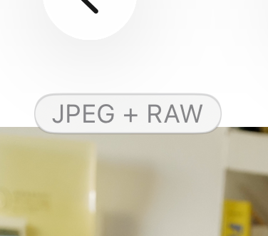 A screenshot of the "JPEG + RAW" label on a photograph in the iOS Photos app