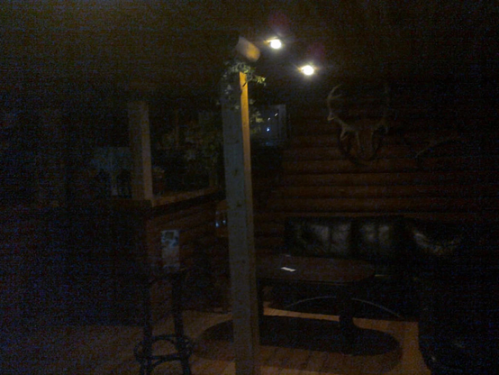 Poor quality photo of the inside of a wooden cabin in the woods, a dark couch by the far wall with antlers as decoration over it, a small table before it. Some light fixtures hanging from the ceiling. Small island jutting out from the wall with some plant in a pod. More stuff is further away, but is too dark to see.