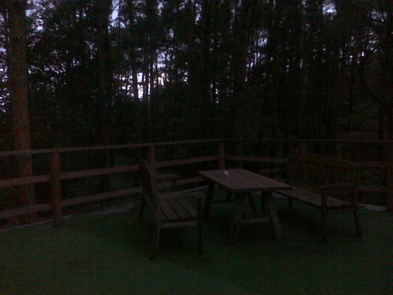 Poor quality photo of a small patio/balcony in a wooden cabin with wooden rails, with a wooden table and two long chairs on either side. The floor has a green rug on it. The background has a pine forest nearly blocking out the sky, only barely visible as the sun is setting for the night.