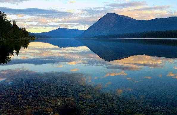 A tranquil sunrise scene at Lake Wenatchee showing a glassy reflection of a mountain and soft pastel clouds mirrored perfectly in the still water. The lakebed stones are clearly visible beneath the surface, adding texture and depth. The sky glows with gentle blues, yellows, and pinks while the forested shoreline frames the scene. The photo feels peaceful and grounding, capturing the calm beauty of a quiet PNW morning.

