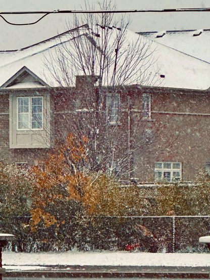A wicked yet serene snow storms this winter-like scene in eh O so! soft snow.

A textured home with windows behind a pretty 😍 dense hedge still clings to warm, autumn-like colours? Yes.

Those bare, chill tree branches reach towards their sky— the one sky dusted with now snow (which rhymes with blow but not plow, you know? …idk! y)

The overall mood is a peaceful and quiet yet quite cool street between reasonz and! seasonz for To-go Caffeine 💋