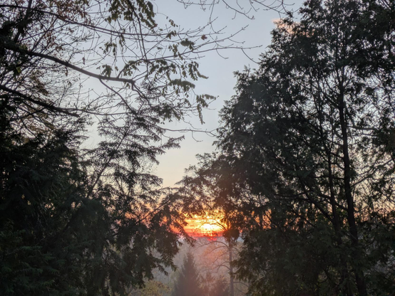 Photo through a clearing in the woods. The scene is surrounded by the dark silhouettes of trees. At the Center, the orange and red sunrise shines above morning haze.