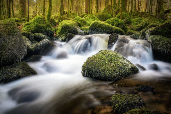 Das Bild zeigt einen Bachwasserfall mit mehreren Kaskaden.
Umgeben sind die Wasserströme von bemoosten Steinen, an denen sich Eiszapfen gebildet haben.