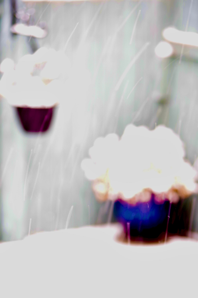 Snow covered pots and plants
(image’s edit'd, adjust'd, or filter'd)