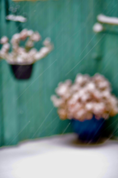 Snow covered pots and plants
(image’s edit'd, adjust'd, or filter'd)