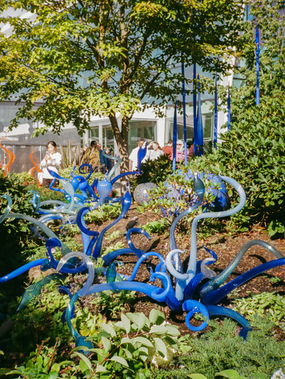 Image of two blue glass sculptures in the outdoor Chihuly Glass Garden in Seattle, WA. The vine-like, twisted glass nestles within the dirt and nearby plants and bushes, with a group of visitors visible just behind.