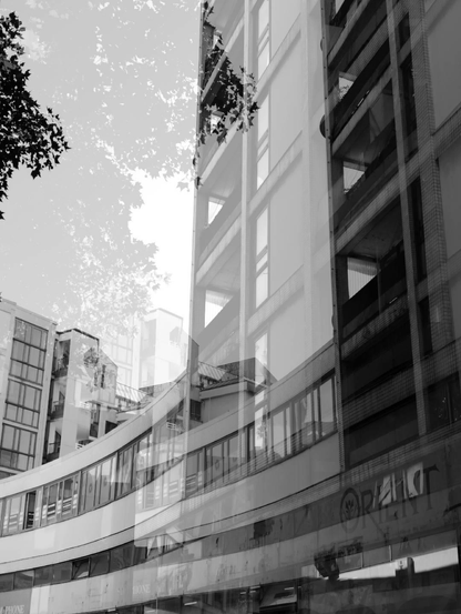 A montage of black and white photographs of buildings, that seeks a blurry abstraction, a sensation ashes and wandering, made of concrete, crows, passages, graffiti.
