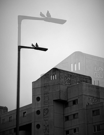 A montage of black and white photographs of buildings, that seeks a blurry abstraction, a sensation ashes and wandering.
