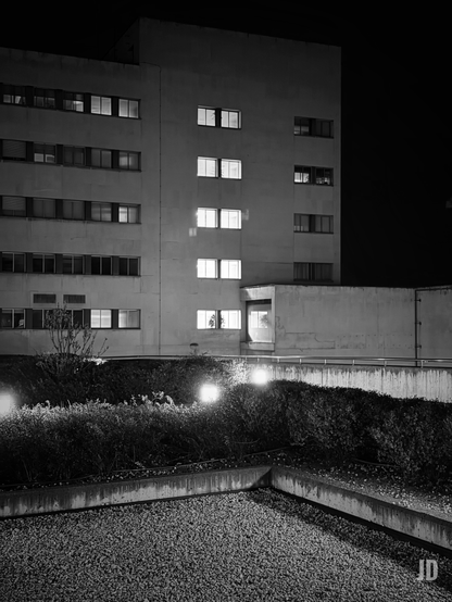 Imagen en blanco y negro de un edificio moderno de concreto por la noche. El edificio principal es alto, de múltiples pisos y de color claro, con numerosas ventanas rectangulares. Muchas de ellas están oscuras, pero varias brillan intensamente con luz interior, creando un fuerte contraste. En la parte inferior derecha, una estructura saliente o entrada del edificio también está iluminada. En primer plano, una franja de arbustos tupidos y oscuros se extiende horizontalmente, iluminados desde abajo por varias luces cuadradas brillantes. Debajo de los arbustos, un área de grava clara está enmarcada por bordes de concreto. La composición general, con sus líneas geométricas y el contraste de luces y sombras, crea una atmósfera de quietud nocturna y arquitectura moderna.