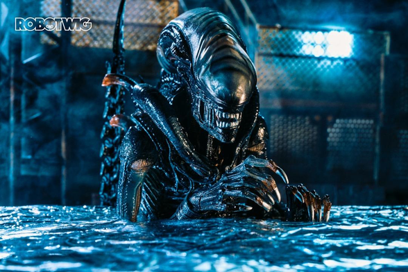 Xenomorph appears from the water. 