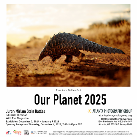 A flyer for a photography exhibit featuring an image I took of a pangolin crossing the road