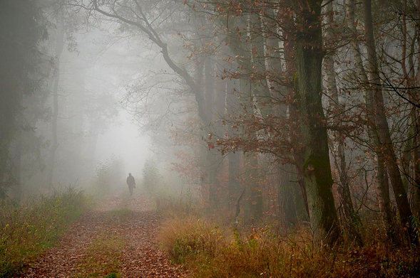 A dense morning fog fills a quiet forest, turning the background almost white and blurring every edge. A lone figure, seen from behind, walks away along a wide path covered in damp, brown leaves. Above them, bare branches and a few rusty autumn leaves arch into view from either side, framing the misty corridor. The light is diffuse with very low contrast; the trees and shrubs alongside the path fade after a few metres and the distant trees disappear completely, creating a muted, contemplative atmosphere in which no other people, animals or buildings are visible.