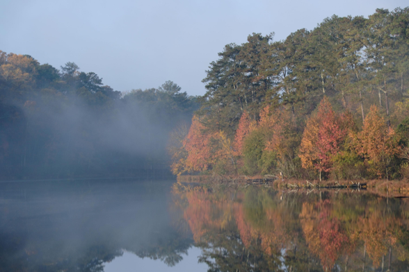 Colorful leaves on the shore of a lake on the right side, also reflected on the water. Green leaves on the left side in a little darker shade