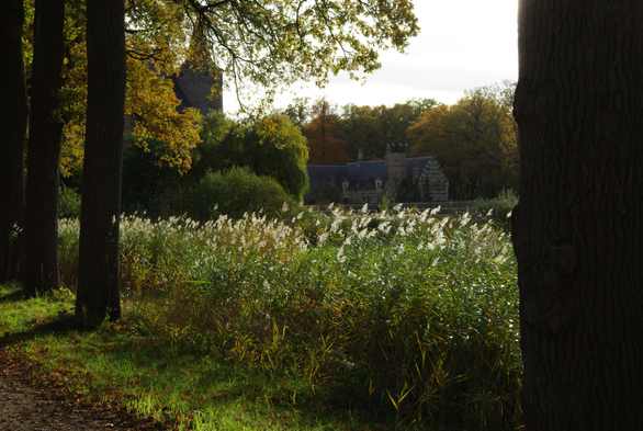 Zicht op kasteel Heeswijk, tussen de bomen en het wuivende riet vanaf een toegangspad