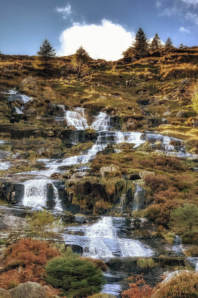A vertical shot of a multi-tiered waterfall cascading down a rocky, moss-covered hillside. The slopes are covered in dry, golden-brown heather and rough grass, suggesting late autumn. Evergreen trees line the top edge against a bright blue sky with a single large white cloud. The low sunlight illuminates the top of the hill and makes the rushing water sparkle.