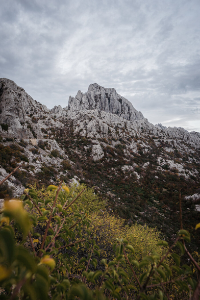 A rocky limestone cliff formation. The sky is cloudy, and bushes with yellow flowers are visible in the frame.