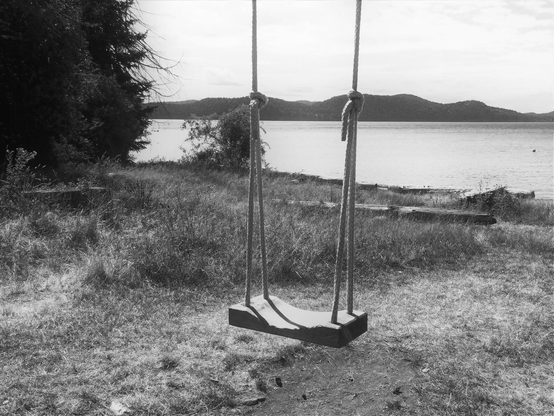 Black and white photo of a wooden swing hanging from a rope, foregrounded by grassy ground, and backgrounded by a body of water and distant hills under a cloudy sky. The swing is in the center of the frame, with the wooden seat casting a shadow. The rope is knotted to the top of the swing. The water is calm and reflects the sky. In the foreground, there is tall grass, and in the distance, a shoreline with some logs. The overall impression is serene and peaceful.