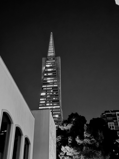 A black and white night-time photograph of the spire of San Francisco's Transamerica Building (a slanted rectangle with an array of lighted and unlighted windows, with a triangular spire above) rising over the horizontal lines of a building on the bottom left and trees on bottom the right. 