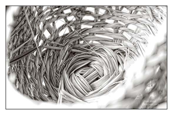 Close-up of a finely woven basket, showcasing intricate details of the weaving pattern in black and white. The image captures the spiral design from the interior perspective, emphasizing the texture of the natural materials.