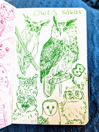 Sketchbook page of green pen owl drawings. There are 7 owls on the page with various expressions. The largest owl on the top right is standing on a perch. The second largest owl is on the top left on a perch looking at the viewer. On the bottom of the page are various smaller drawings of baby owls.