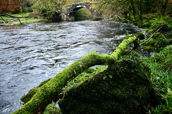 A bridge and river