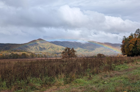 a rainbow arches over one tree in a meadow, with mountains in the background, under a cloudy sky - Cades Cove, Great Smoky Mountain National Park, Townsend, TN