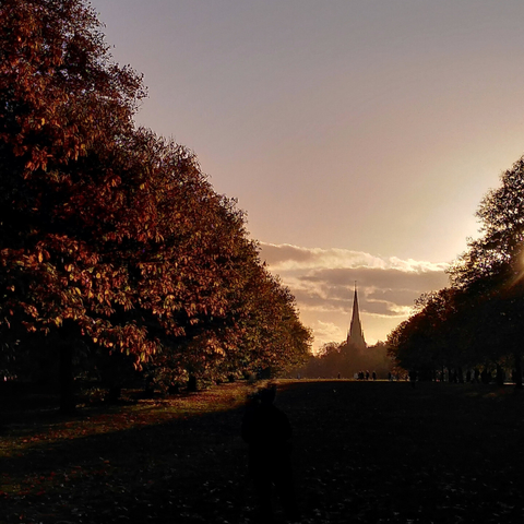 Photo of the Albert Memorial in London, a large spire-like thing, nestled among a valley of autumnal trees, set against the end of day sunset warmth.