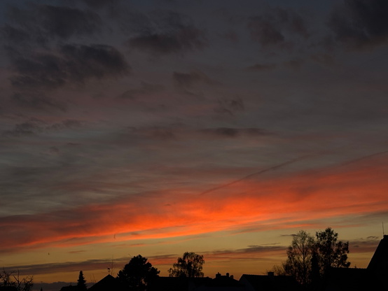 Am unteren Bildrand zeigen sich mittig die Silhouetten zweier Bäume und rechts eines einzelnen großen Baumes, am gesamten unteren Bildrand von Dächern und von Sträuchern. Von mittig unten verteilt sich das letzte Licht der untergehenden Sonne, die selbst nicht mehr zu sehen ist, über den Himmel. Das Licht sendet rot und kräftig rosa leuchtend über die untere Hälfte des Himmels. Der Himmel ist zart schleirig langgezogen bewölkt im oberen Teil. Hier werden die Wolken rosa von unten beschienen.