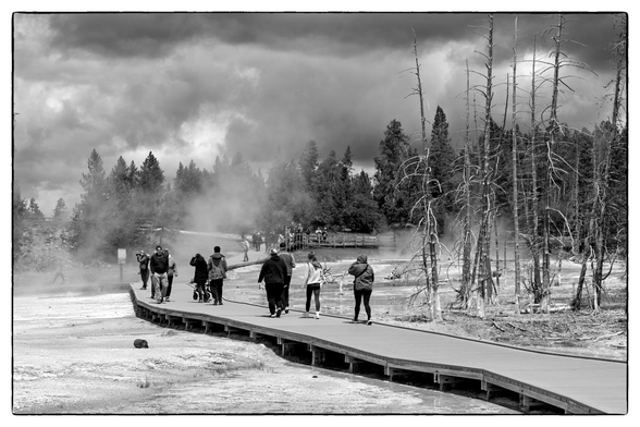 A group of visitors walks along a winding boardwalk through a steamy geothermal area in Yellowstone National Park. The black-and-white photo captures dramatic clouds, mist rising from hot springs, and skeletal trees, emphasizing the stark beauty of the landscape.
