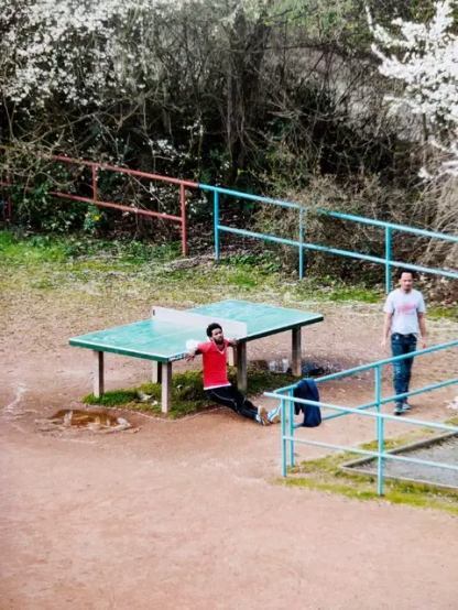 The Table That Forgot About Ping Pong