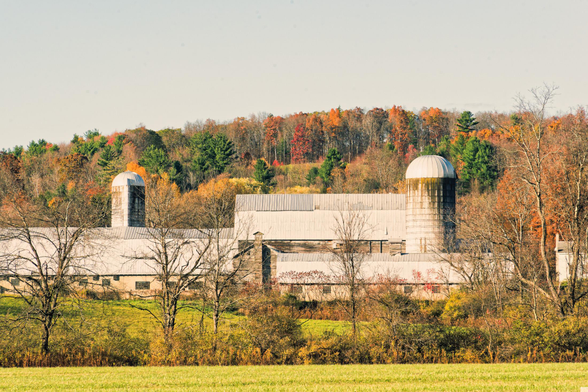 A complex of several long barns and two silos is behind two fields separated by a hedgerow and backed by a hillside of evergreen bare and red, yellow and orange trees