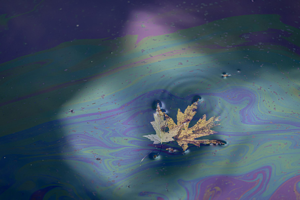 A leaf floats in oil runoff.