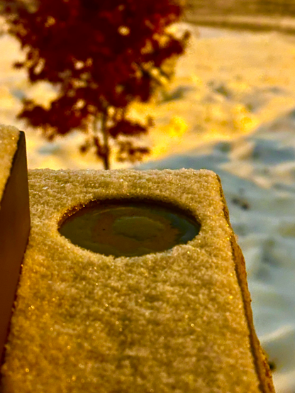 Wine with some lights-
a tree and a glass hole-
in snow ⛄️ 