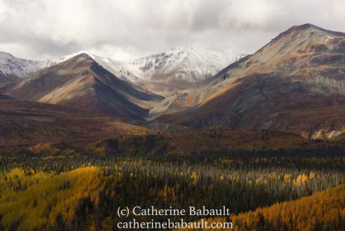 Snow-capped mountains on the horizon under cloudy skies, bare mountains in the middleground and a valley with coniferous and deciduous trees in fall foliage, mostly yellow. 