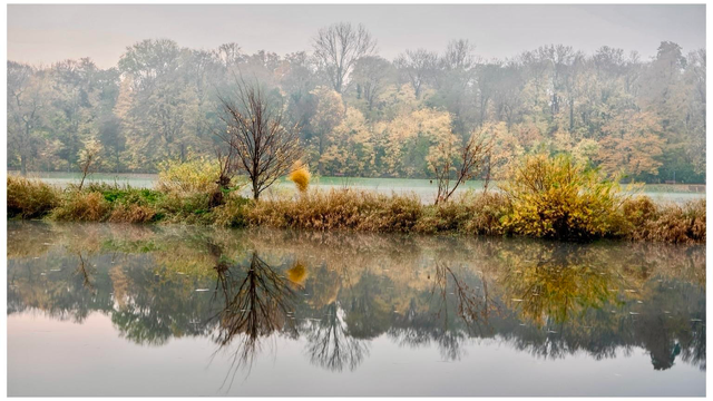 A serene landscape featuring a calm river bordered by autumn foliage. Trees with varying colors of leaves reflect in the water, creating a tranquil scene. Mist hangs lightly in the air, adding to the peaceful ambiance.