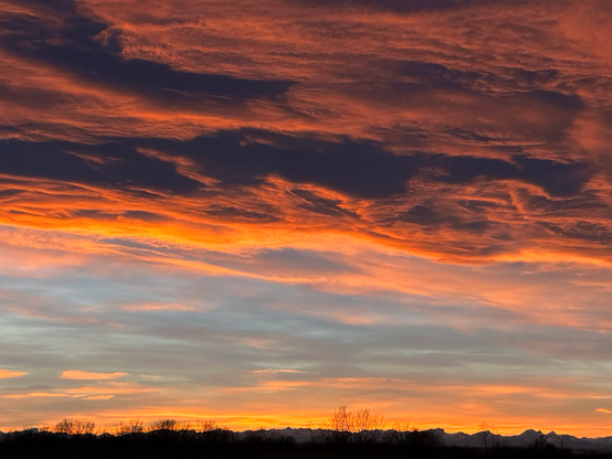 A colour photograph of a large bank of clouds at sunset.  At the bottom of the frame is the relatively flat horizon which is quite black in silhouette to the sky.  A few bare trees are far in the distance. From the horizon to halfway up the frame there are light-red coloured wispy clouds with some blue sky visible behind them. Above that are spectacular, dark-red, heavy sculpted clouds that are showing lots of texture with some deep shadows from the setting sun. Photo taken Nov 9, 2025.