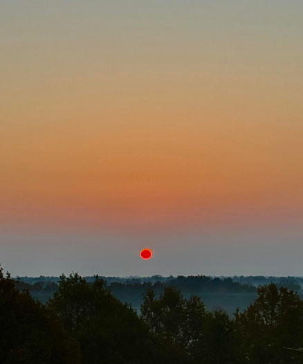 A Sun rise  over a hazy landscape, featuring a bright red sun just above the horizon, with a gradient sky transitioning from light orange to pale blue. Silhouettes of trees are visible in the foreground.
