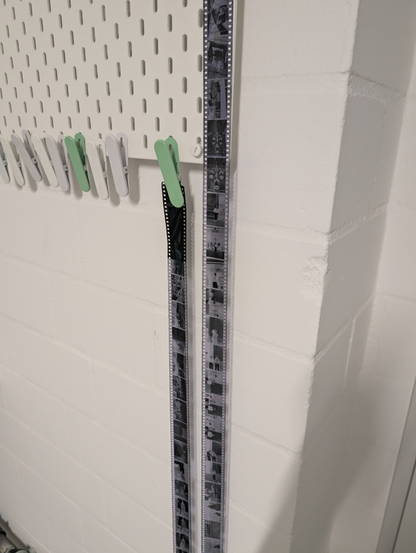 Two strips of film hanging to dry after being developed 