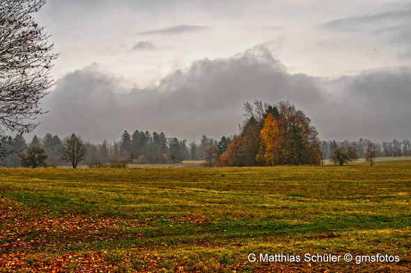 Novembernachmittag Wiesenlandschaft im trüben November