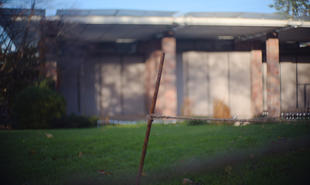 The Faunation Beyerle with an istalation of Yayoi Kusama