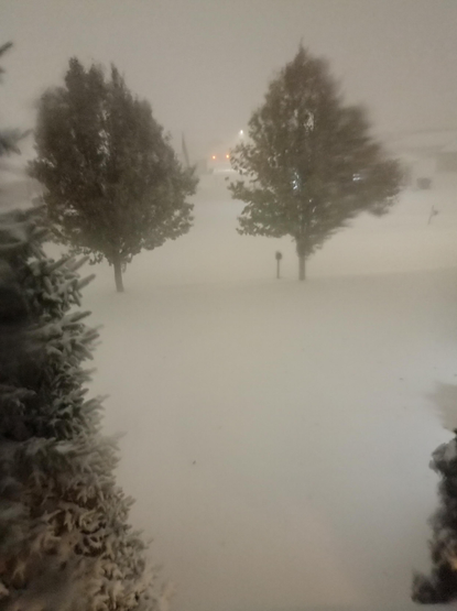 A view of the snow early in the morning. The street and yards are covered with snow. Trees blow in the wind. There are car tail lights in the distance.