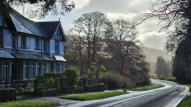 A big white house with slate roof and wooden beams on the left, with a little fenced garden, and a grassy verge next to a road that leads the eye into a hazy forest lit by warm morning sun. 