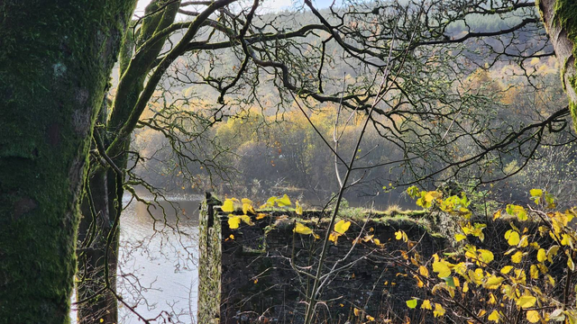 Looking through leafeless trees over a ruined, roofless stone building on the edge of calm waters, with hazy warm sunlight