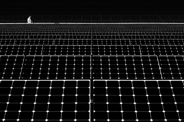 A person in a white t-shirt walks between black, patterned solar panels.