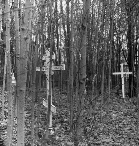 In the black and white photo, a white metal cross of the Orthodox cemetery can be seen among the bushes and trees. In the distance, other white crosses of abandoned graves can be seen.
