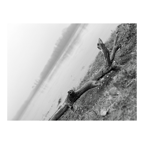 Driftwood on the banks of the river. (Version françæ) Bois flottæ sur les berges dal rivière.