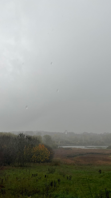 A photo of the lake and marsh, this time the mist shrouded trees are more in shot, with the lake to the right of the frame.  It's raining steadily, and rains droplets falling from the roof above have been captured by the camera. 